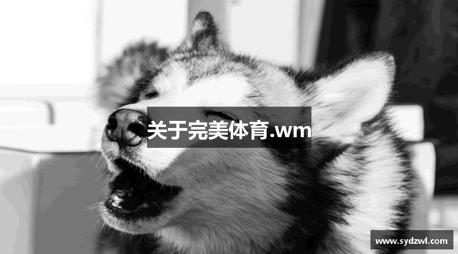 关于完美体育.wm